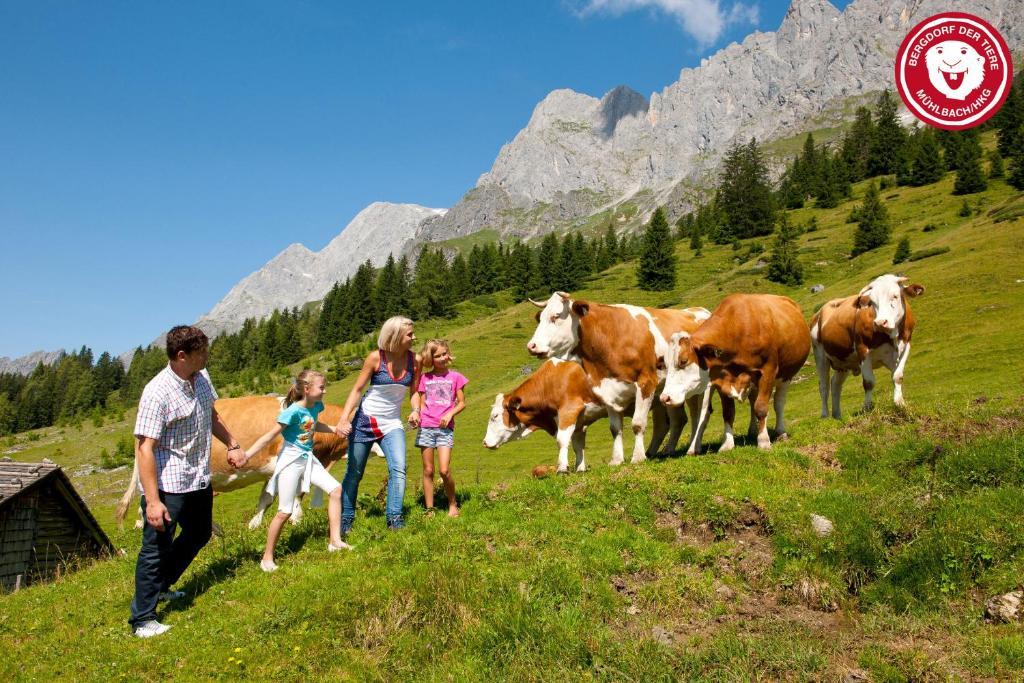 Apartments Haus Huber Mühlbach am Hochkönig Dış mekan fotoğraf
